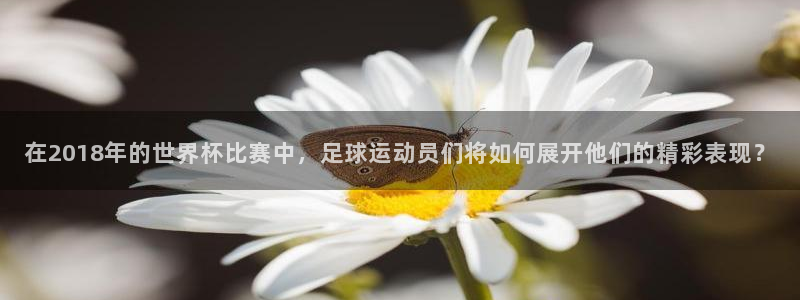 葡萄牙世界杯赛程:在2018年的世界杯比赛中,足球运动员们将如何展开他们的精彩表现?