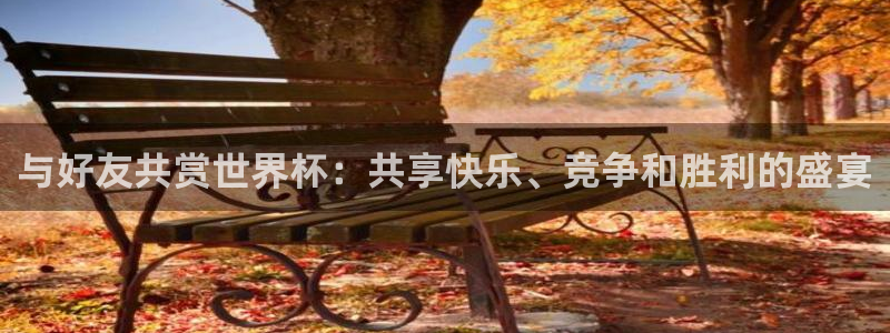 世界杯系列赛:与好友共赏世界杯:共享快乐、竞争和胜利的盛宴