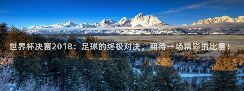 世俱杯直播:世界杯决赛2018:足球的终极对决,期待一场精彩的比赛!