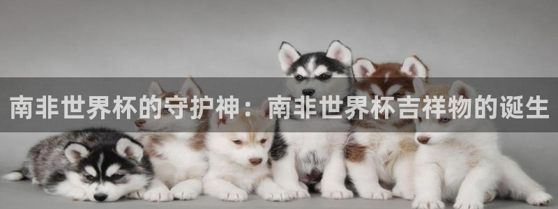2026世预赛全部赛程:南非世界杯的守护神:南非世界杯吉祥物的诞生