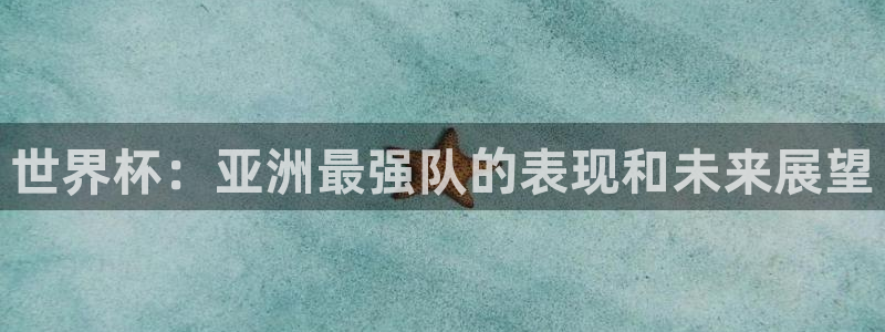 世界杯足球比赛:世界杯:亚洲最强队的表现和未来展望