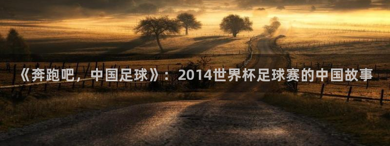2026足球世界杯赛程:《奔跑吧,中国足球》:2014世界杯足球赛的中国故事