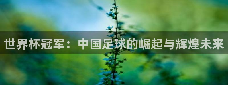亚洲杯足球:世界杯冠军:中国足球的崛起与辉煌未来
