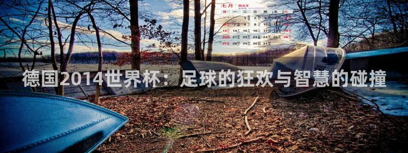 足球比分直播世界杯:德国2014世界杯:足球的狂欢与智慧的碰撞
